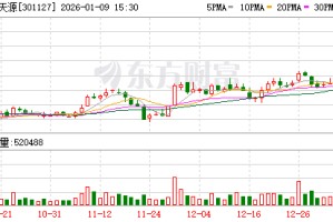 武汉天源：第六届董事会第二十五次会议决议