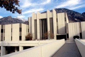 新手适合做哪些期货品种？