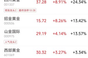 国际金价续创新高，金饰克价升至1459元