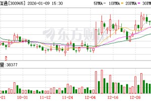 恒宇信通：截至2025年12月31日股东总户数为11760户