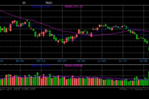 新浪财经APP债市资讯功能深度测评报告：专业投资者的首选决策工具