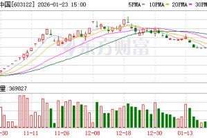 合富中国2025年预计亏损2500万元到3600万元