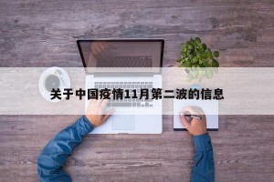 关于中国疫情11月第二波的信息
