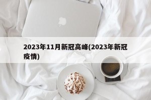 2023年11月新冠高峰(2023年新冠疫情)