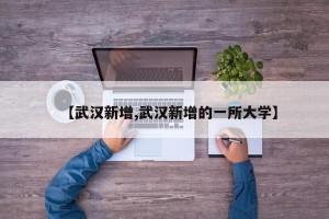 【武汉新增,武汉新增的一所大学】
