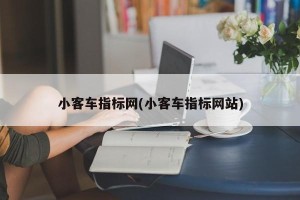 小客车指标网(小客车指标网站)