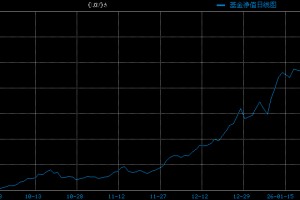 白银基金，连续2日跌停