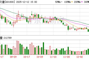 中国交建：公司先后参与宁夏中卫云数据中心等项目
