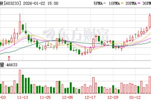 大参林：公司不存在逾期担保