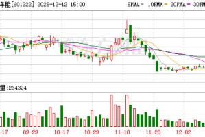 林洋能源：已形成以智能电表、储能系统、新能源技术为主线的专利池与技术储备