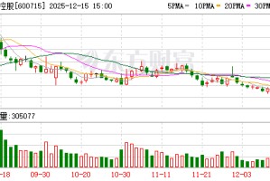 文投控股：公司国外营业收入主要来源于游戏海外发行业务