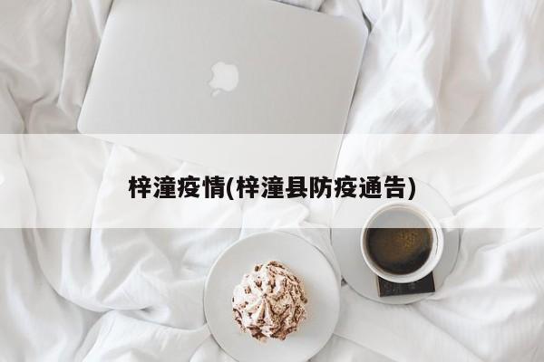 梓潼疫情(梓潼县防疫通告)