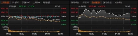 A股回落，接下来关注这两件大事！