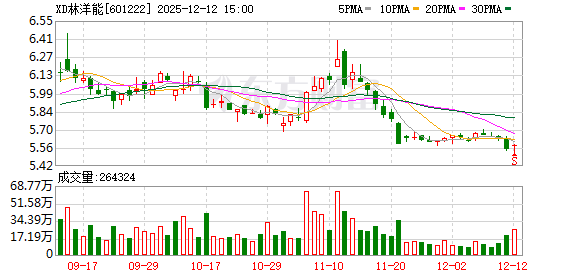 林洋能源：已形成以智能电表、储能系统	、新能源技术为主线的专利池与技术储备