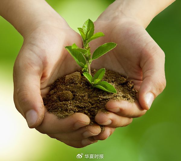 上海150亿元超级LP再出手，投向AI等未来产业