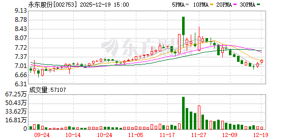 永东股份：调整“永东转2”转股价格