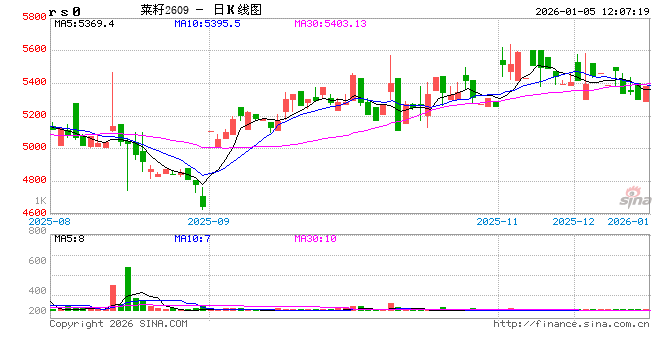 加拿大农业部9月份报告解读——油菜籽产量下降需求量增加