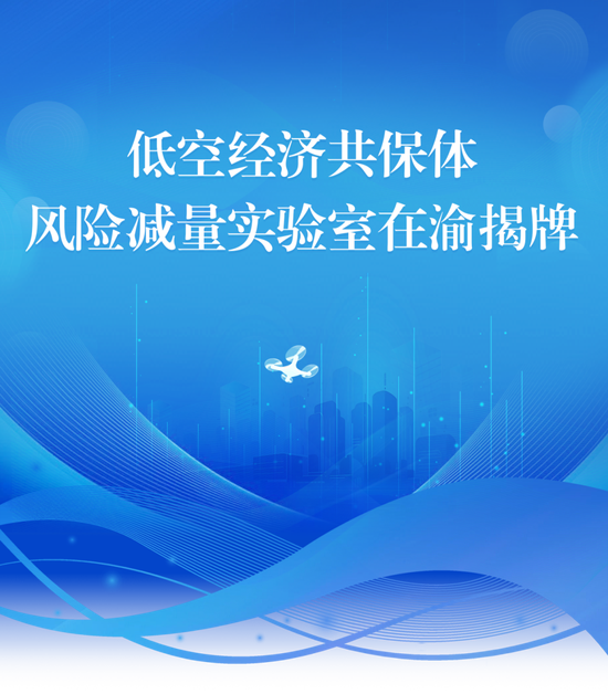 低空经济共保体风险减量实验室在渝揭牌