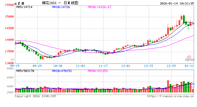 华泰期货：USDA报告偏多	，棉价震荡反弹
