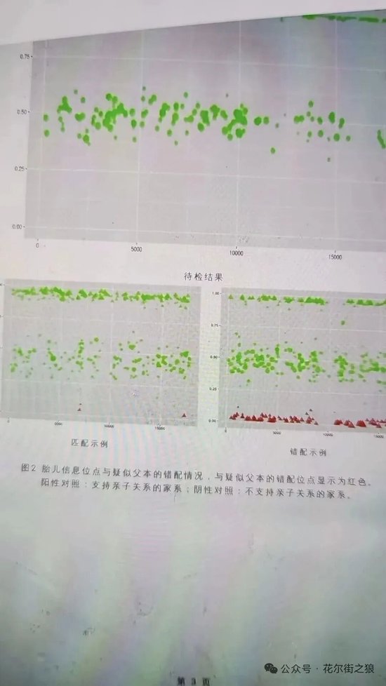 4000点网红分析师自爆怀了50岁基金经理的孩子