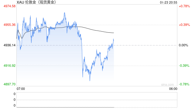 世界黄金协会深度分析：美国最高法院对 IEEPA 关税的审理及其对黄金市场的潜在影响