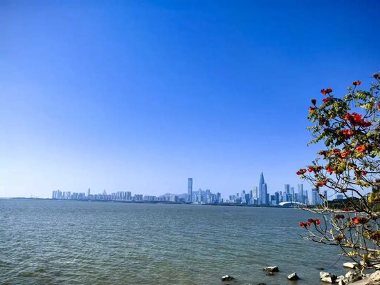 高端招聘藏陷阱：瑞众人寿团队冒用名义招代理人，行业“洗人头	”模式难以为继