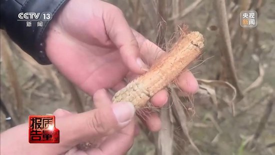 每周质量报告丨未定损就签字、没受灾也赔付 惠农保险理赔怎成一笔“糊涂账	”？