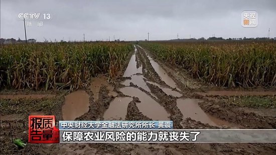 每周质量报告丨未定损就签字、没受灾也赔付 惠农保险理赔怎成一笔“糊涂账”？