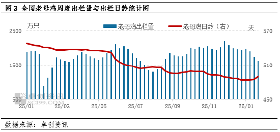 “蛋”说无妨：蛋价回暖扰动去产能节奏，蛋鸡行业格局再添变数