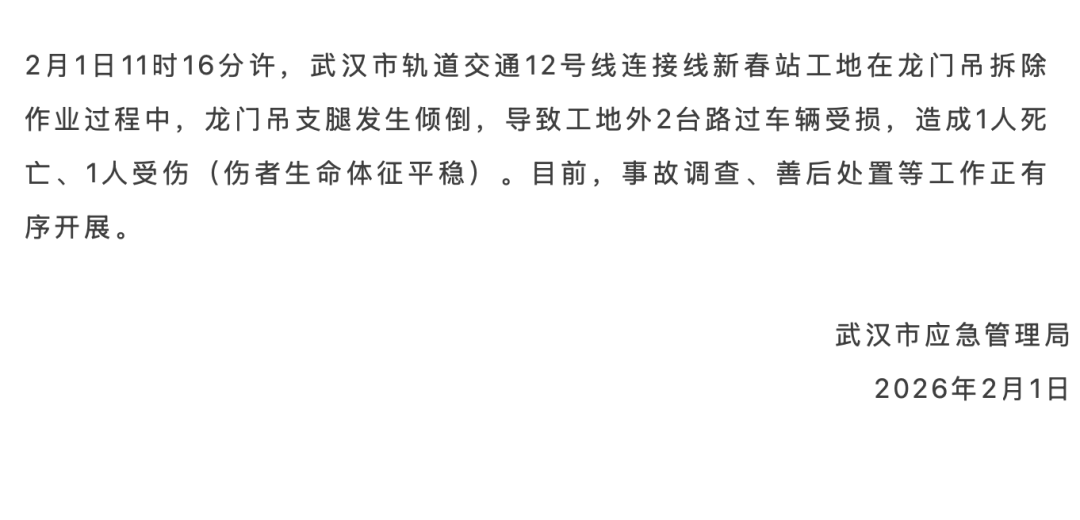 武汉一龙门吊倒塌砸中汽车，官方通报