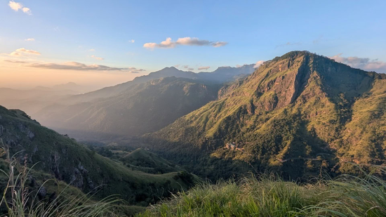 国寿合并营收1.3万亿	、人保保费7300亿，四大中管险企年度工作会说了什么？