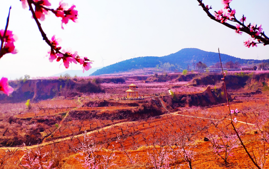 【申万宏源研究春节见闻】山东肥城：君子之邑山水秀，宜居宜商迎客来