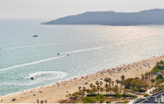 【申万宏源研究春节见闻】旅居热与跨境潮：从惠州滨海到香港街头的春节轨迹